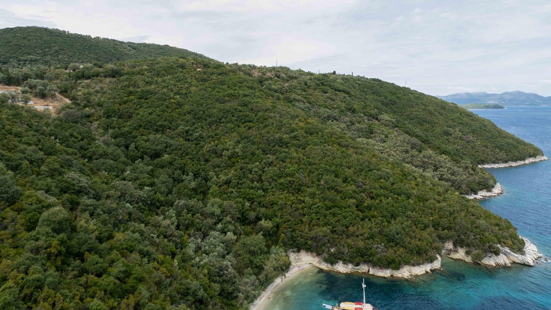 Land in Tripoli Community, Peloponnese, Western Greece and the Ionian, Greece 5 - 16336334