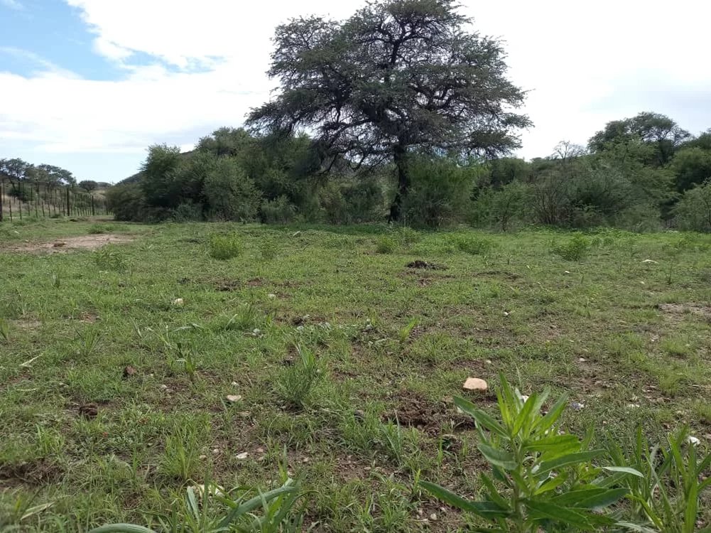 Corps de ferme à Windhoek, Khomas Region, Namibie 5 - 16333369