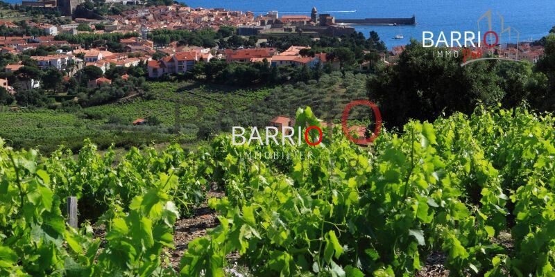 House in Collioure, Occitania, France 1 - 16002161