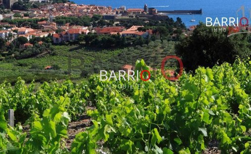 House in Collioure, Occitania, France 1