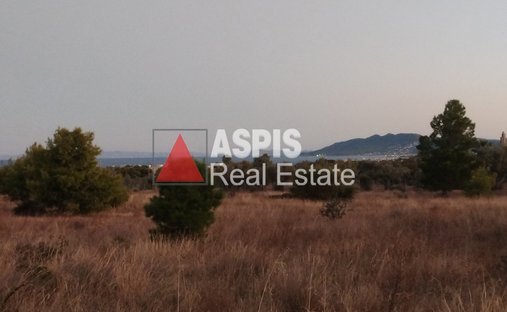 House in Rafina, Attica, Greece 1