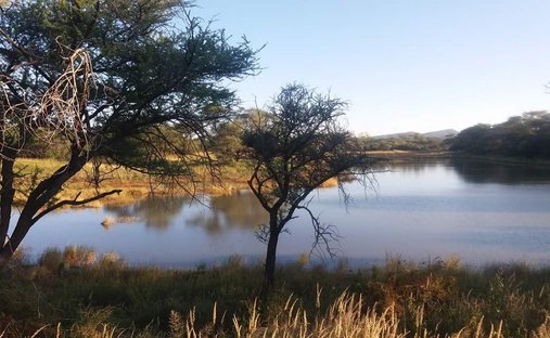 Terrain à Otjiwarongo, Otjozondjupa Region, Namibie 1