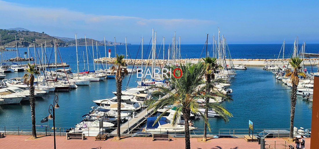 Apartment in Ouest, Banyuls-sur-Mer, France 2 - 15881303