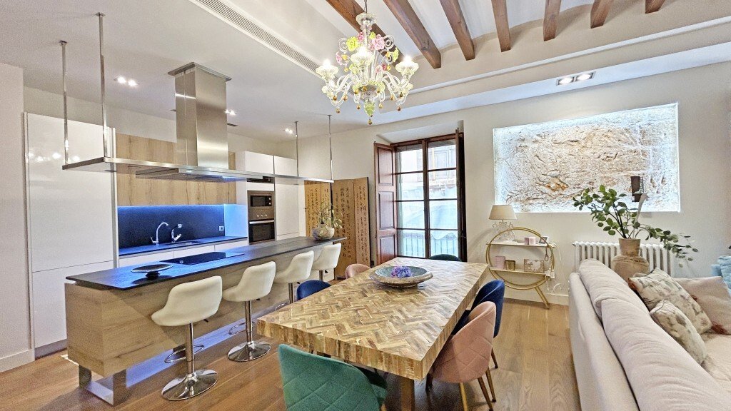Apartment in Palma, Balearic Islands, Spain 4 - 16336505