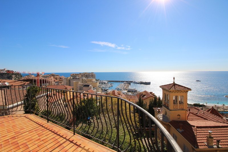 Apartment in Cap-d'Ail, Provence-Alpes-Côte d'Azur, France 2 - 16333694