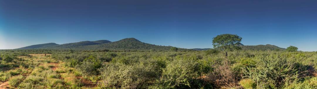 Farm Ranch in Otjiwarongo, Otjozondjupa Region, Namibia 2 - 16333367