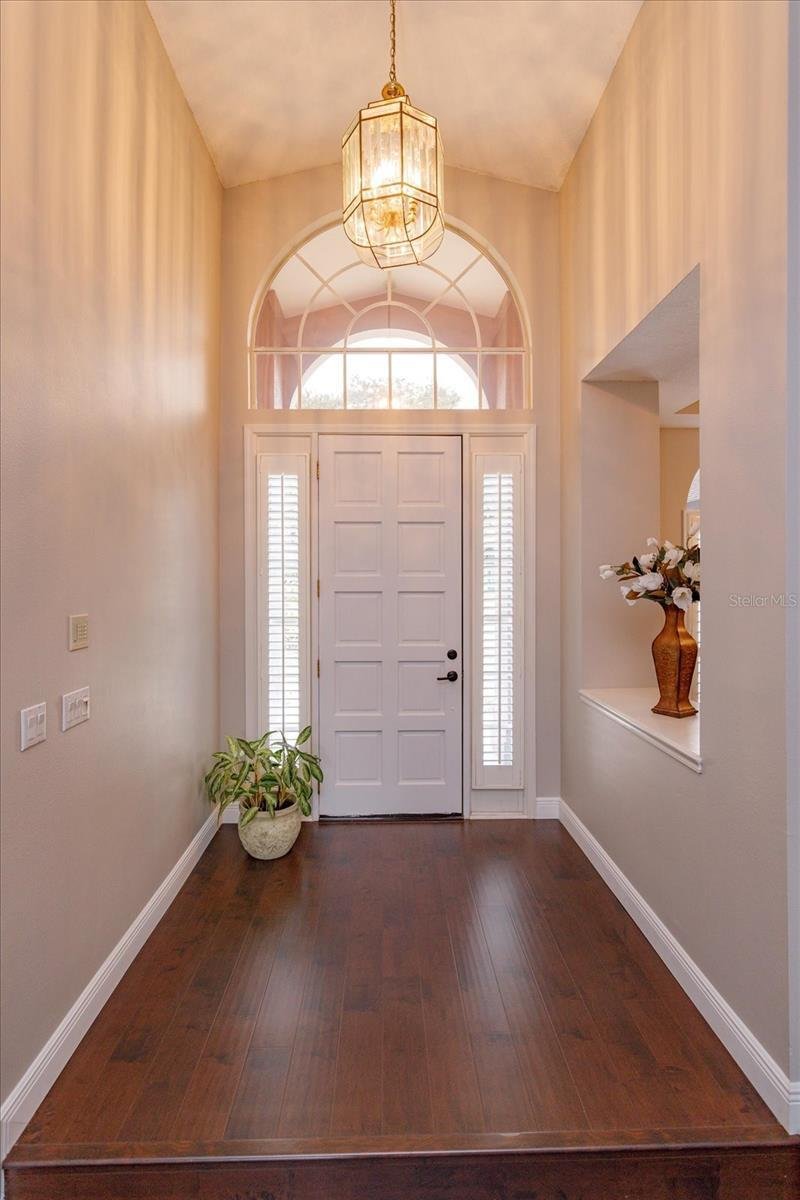 House in Oviedo, Florida, United States 4 - 16274522