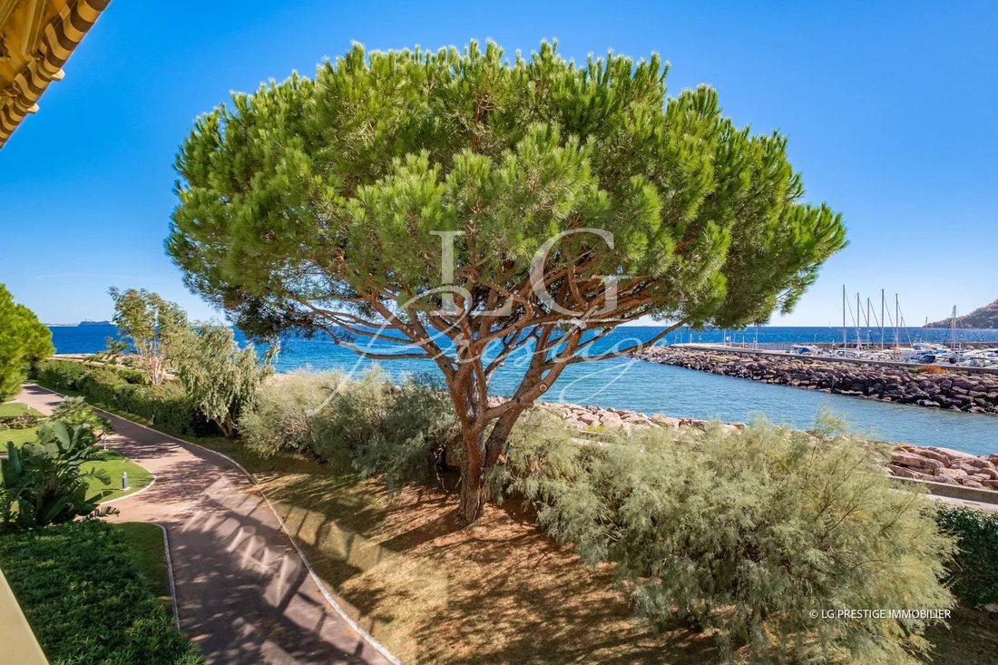 Apartment in Cannes Marina-La Roubine, Mandelieu-la-Napoule, France 3 - 16336447