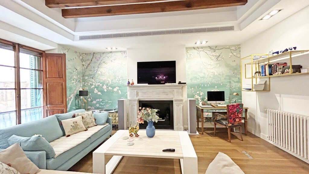 Apartment in Palma, Balearic Islands, Spain 3 - 16336505
