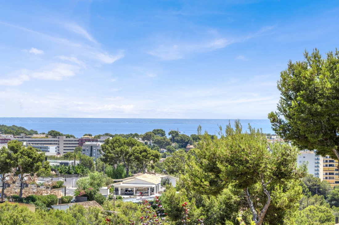 Villa in Costa d'en Blanes, Calvia, Balearic Islands 2 - 16333431