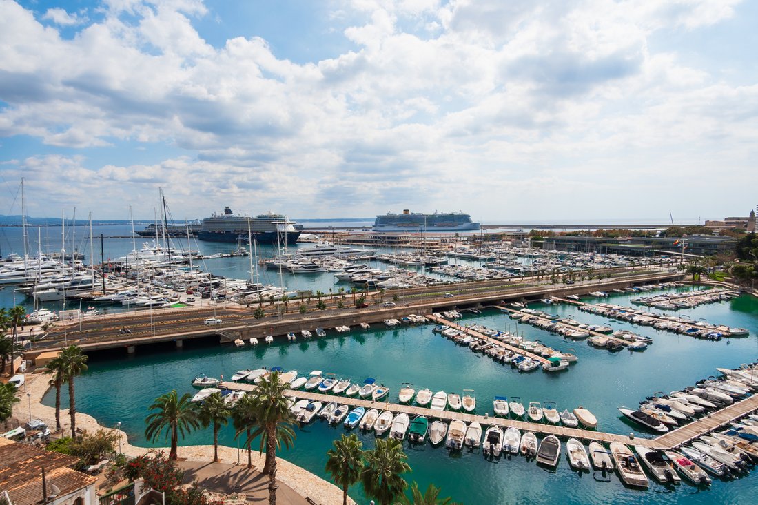 Apartment in Palma, Balearic Islands, Spain 3 - 16333423