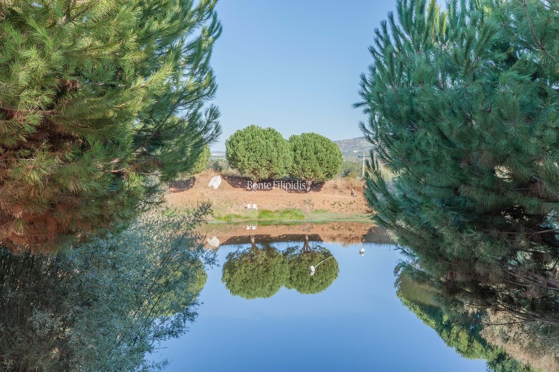 Farm Ranch in Tortosendo, Castelo Branco District, Portugal 2 - 16100615