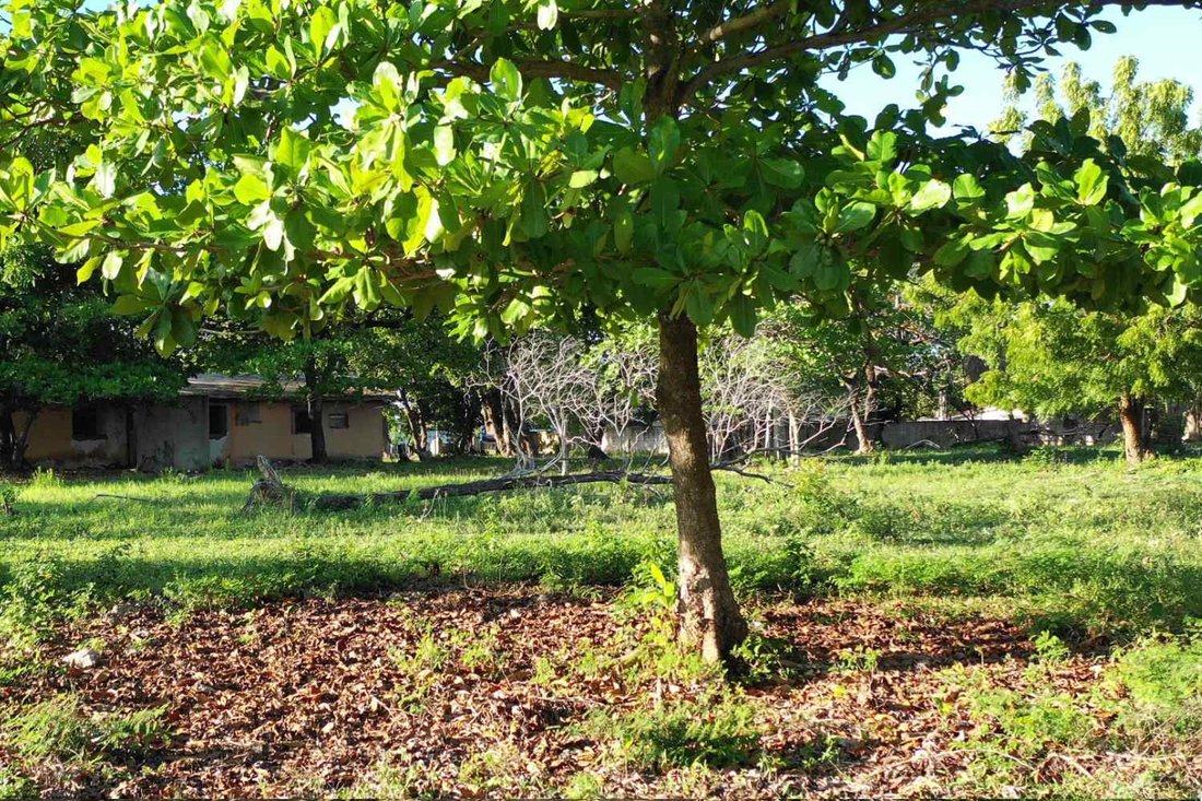 Land in Sosúa, Puerto Plata Province, Dominican Republic 3 - 16336774