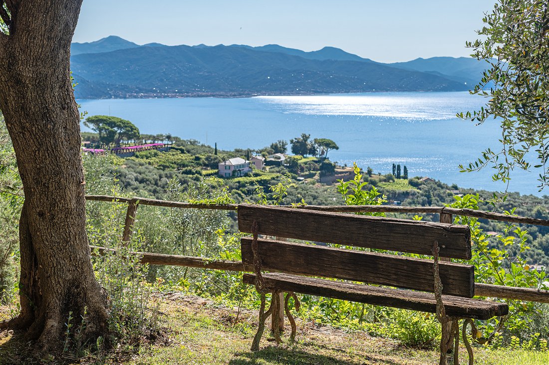 Villa in Portofino, Liguria, Italy 4 - 16338713