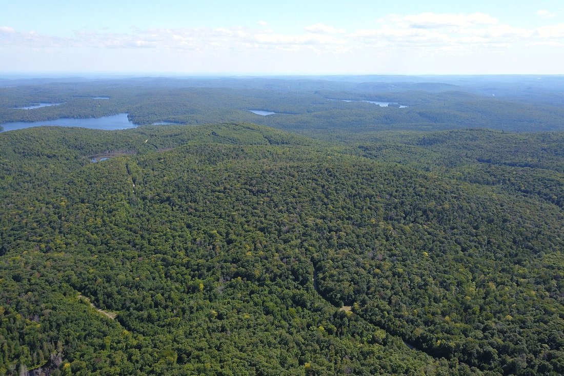 Land in Chertsey, Quebec, Canada 3 - 16340421