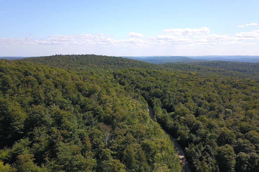 Land in Chertsey, Quebec, Canada 1 - 16340421