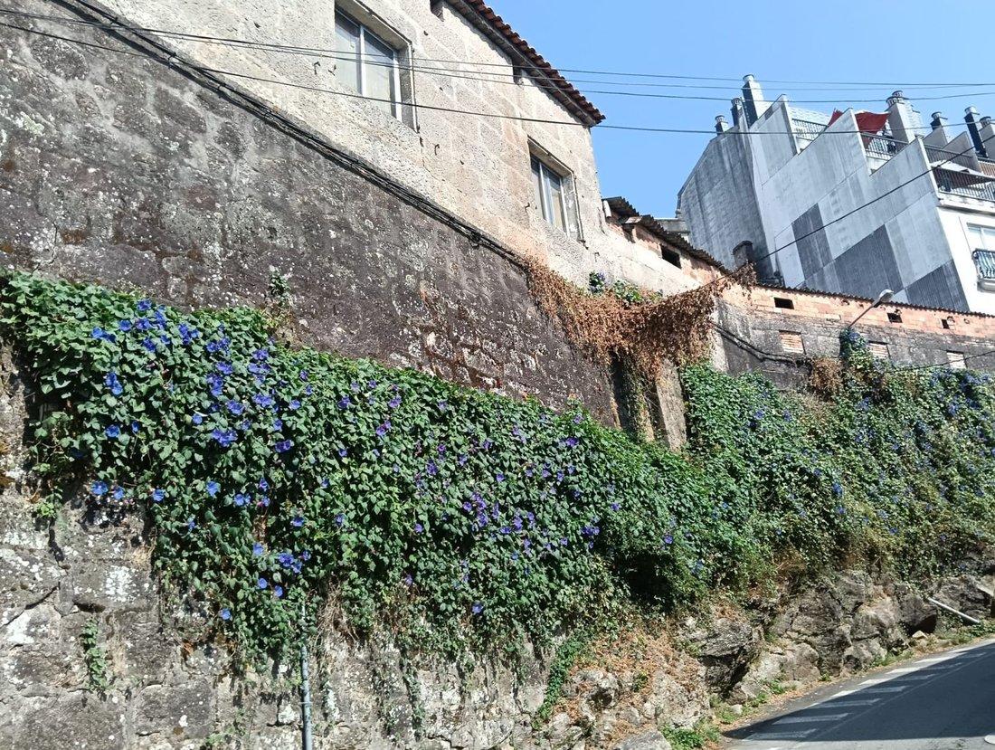 Land in Poio, Poio, Spain 5 - 16145638