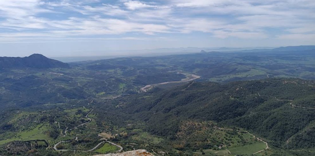 Land in Jimena de la Frontera, Andalusia, Spain 1 - 16338264