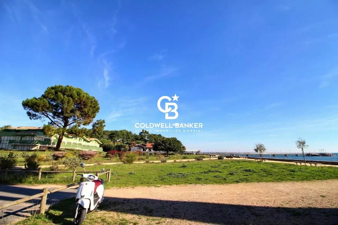 Apartment in 33970 Le Cap-Ferret, Lège-Cap-Ferret, Nouvelle-Aquitaine 5 - 16338509