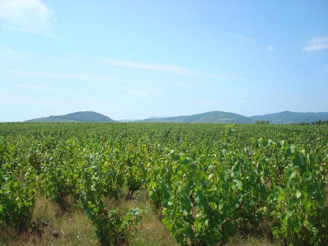 House in Villie-Morgon, Auvergne-Rhône-Alpes, France 2 - 16339979