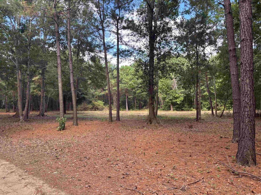 Land in North Myrtle Beach, South Carolina, United States 5 - 16339103