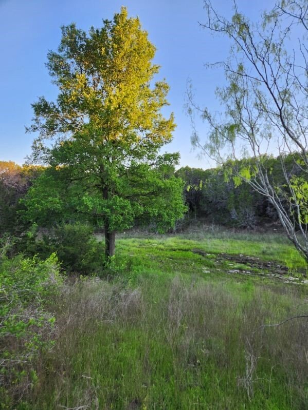Land in Glen Rose, Texas, United States 4 - 16339105