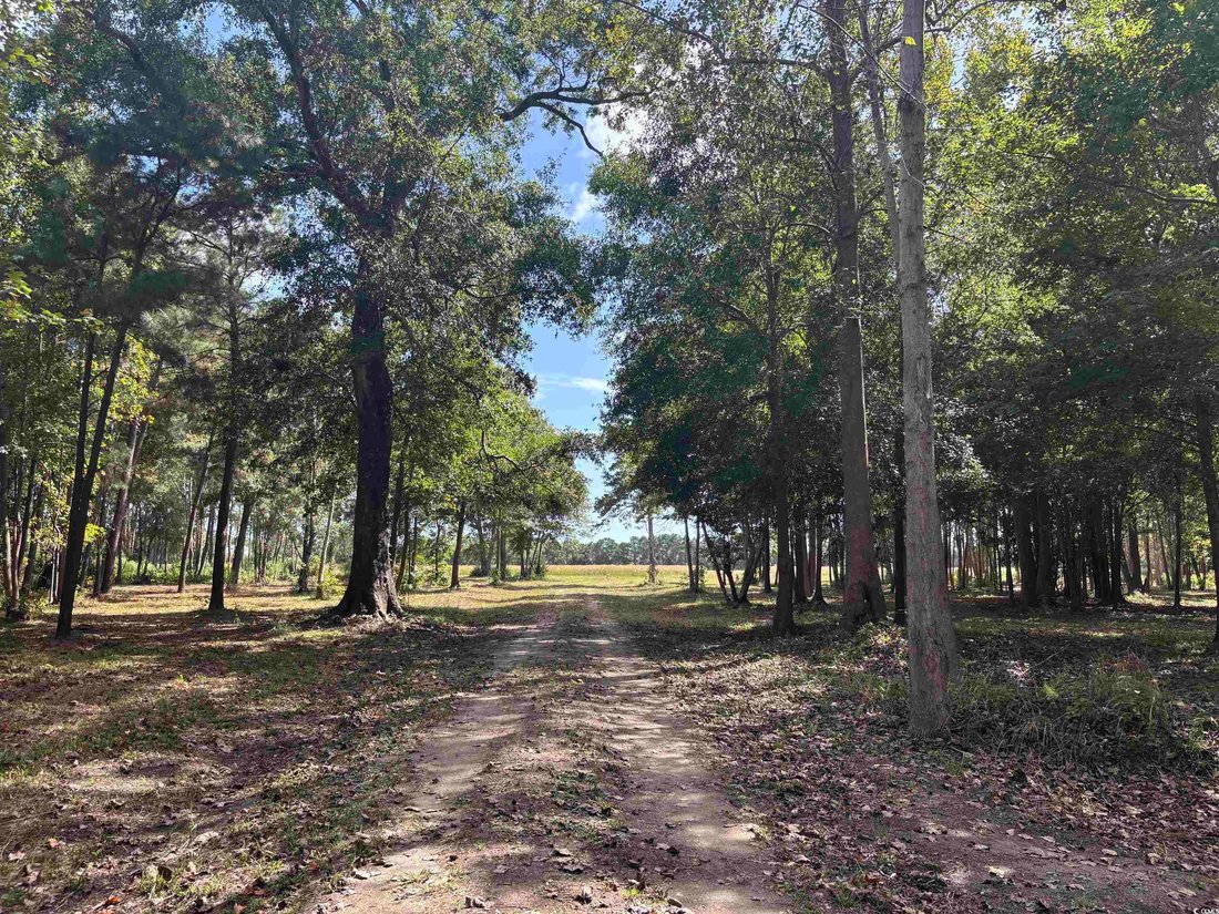 Land in North Myrtle Beach, South Carolina, United States 1 - 16339103