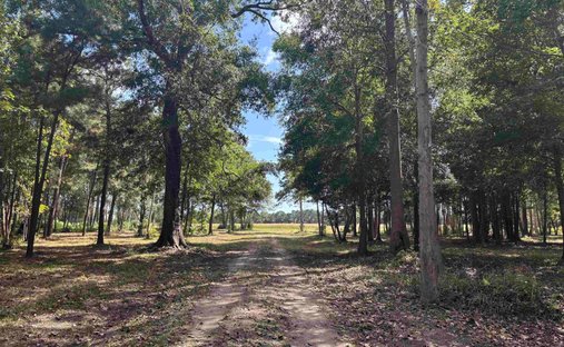 Land in North Myrtle Beach, South Carolina, United States 1