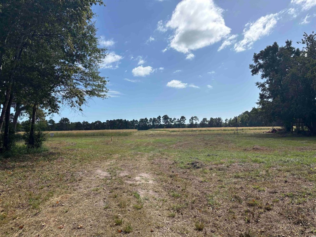 Land in North Myrtle Beach, South Carolina, United States 3 - 16339103