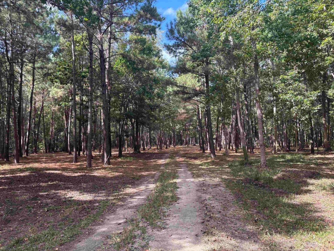 Land in North Myrtle Beach, South Carolina, United States 4 - 16339103