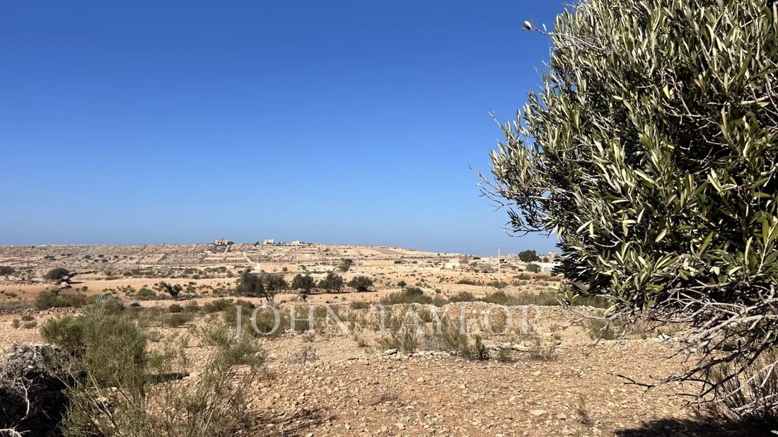 Land in Essaouira, Marrakesh-Safi, Morocco 5 - 16362473