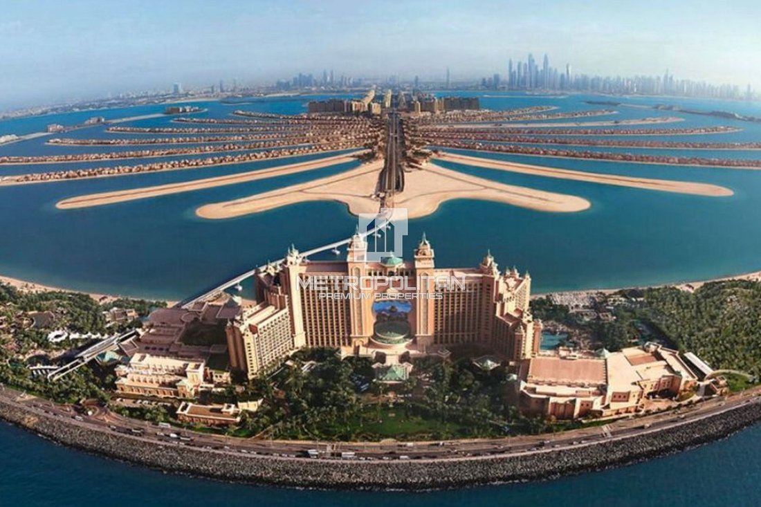 Land in Palm Jumeirah, Dubai, United Arab Emirates 3 - 16360112