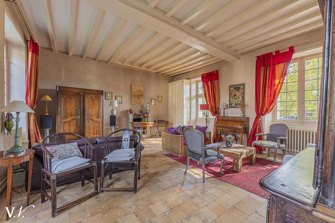 Villa in Villaines-les-Rochers, Centre-Val de Loire, France 5 - 16358766