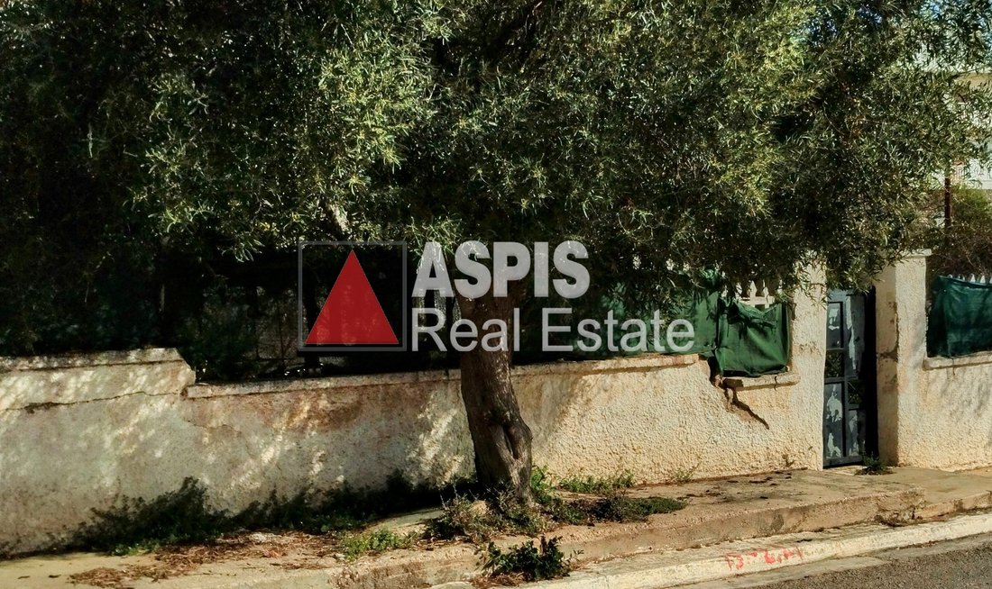 House in Rafina, Attica, Greece 3 - 16363747
