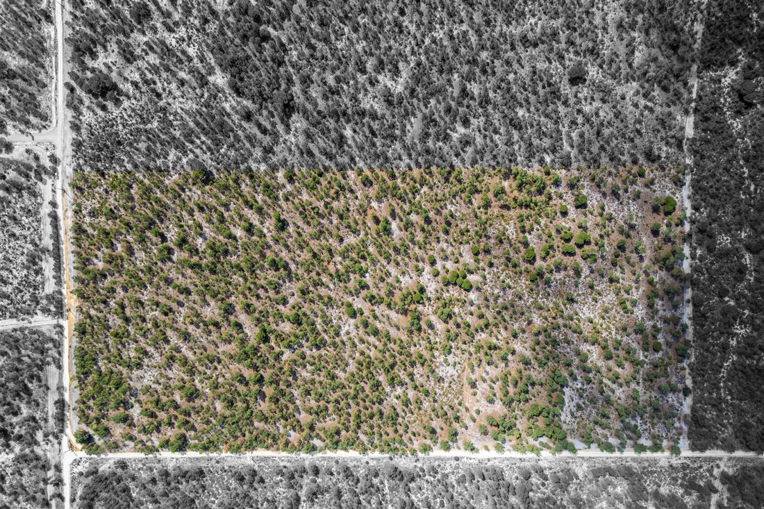 Land in Comporta, Setubal, Portugal 5 - 16364030