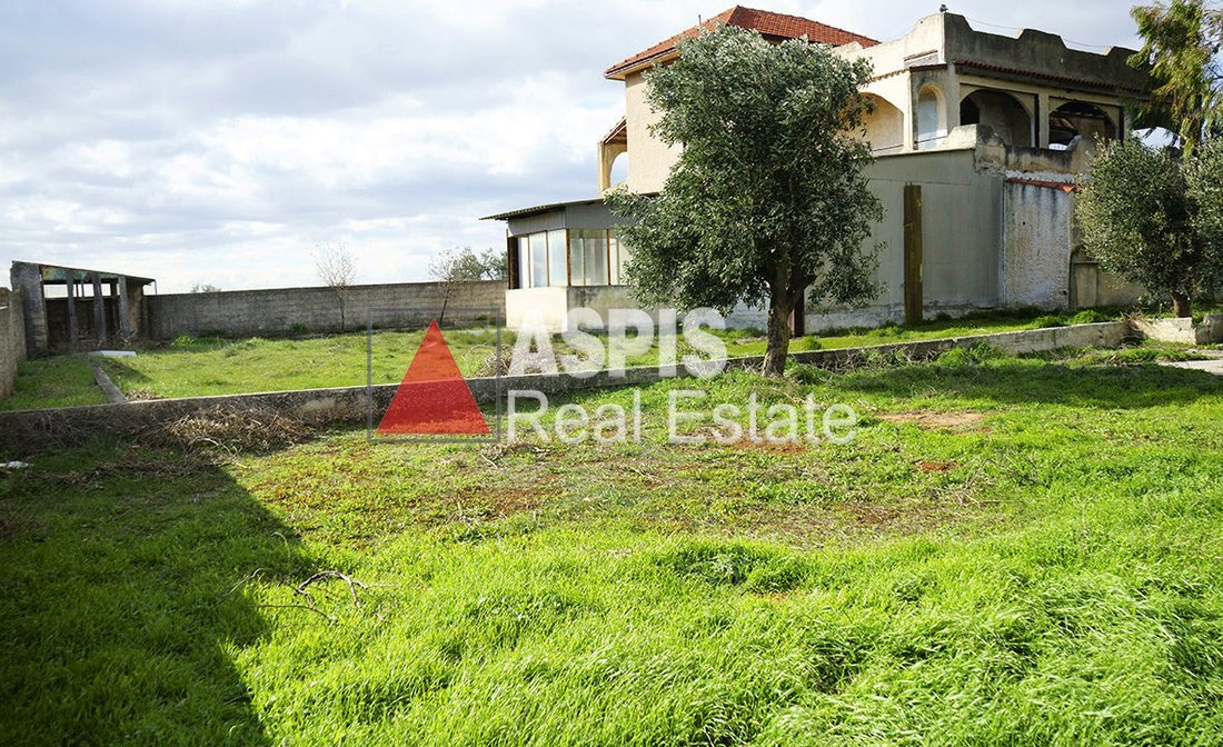 House in Kropia, Attica, Greece 4 - 16363787
