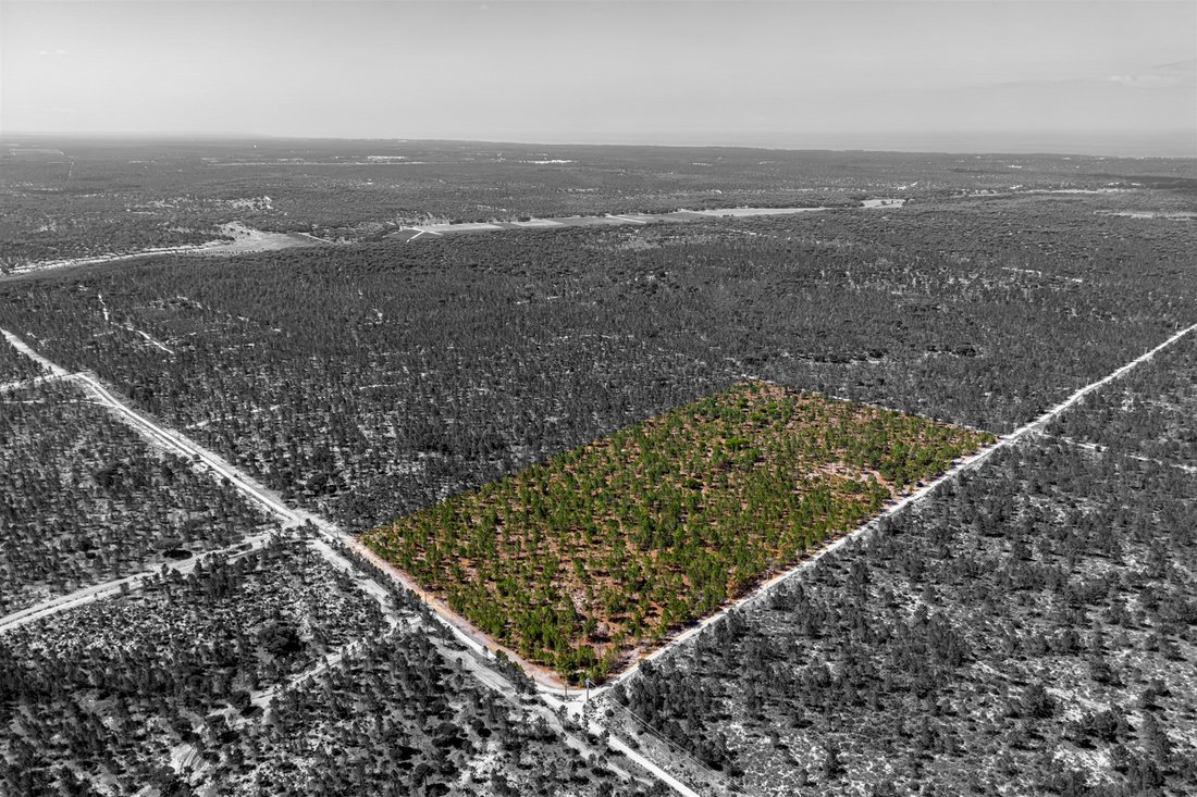 Land in Comporta, Setubal, Portugal 1 - 16364030
