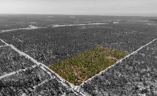 Land in Comporta, Setubal, Portugal 1