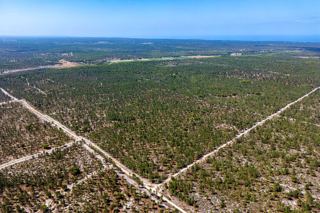 Land in Comporta, Setubal, Portugal 2 - 16364030