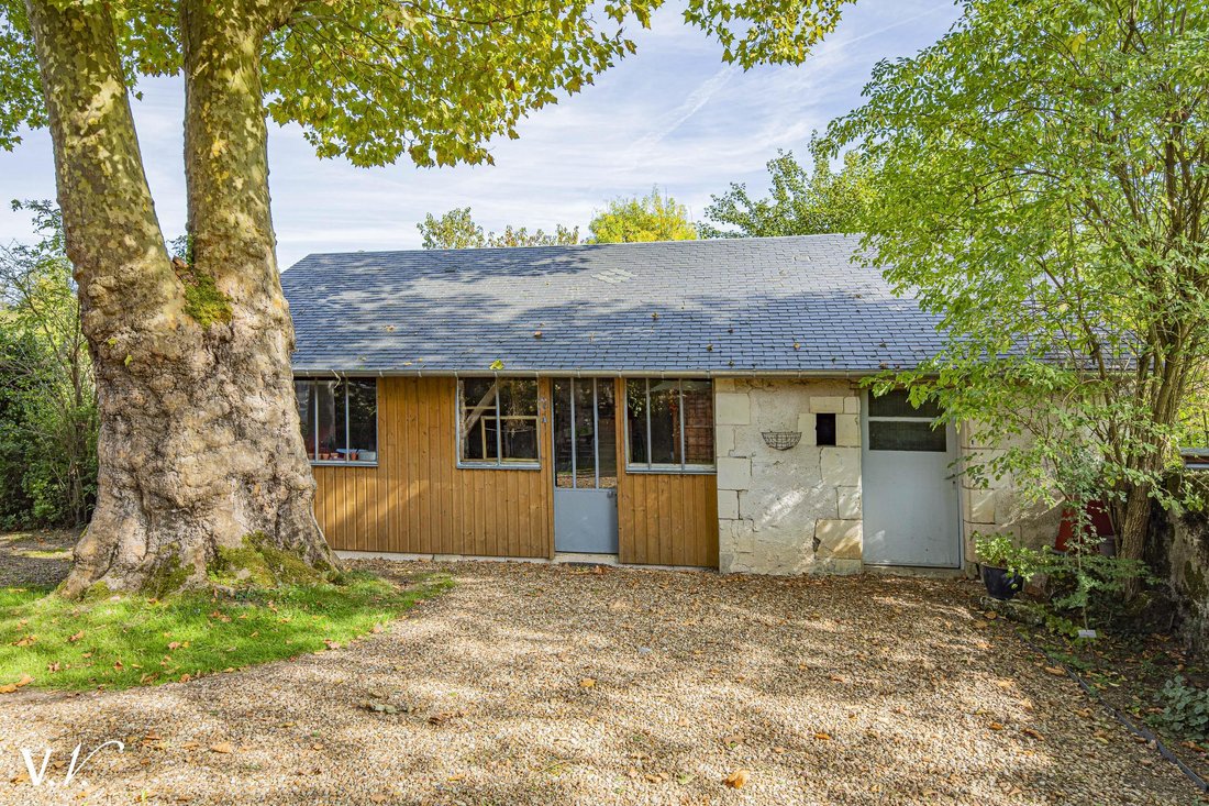 Villa in Villaines-les-Rochers, Centre-Val de Loire, France 3 - 16358766