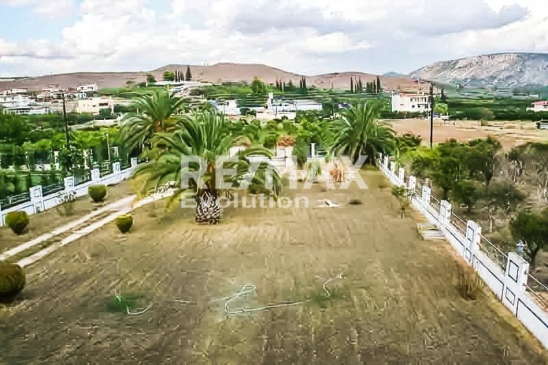 House in Nafplio, Nafplio, Greece 5 - 16358681