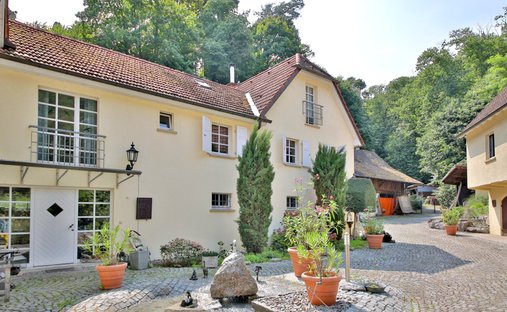 House in Bad Bergzabern, Rhineland-Palatinate, Germany 1