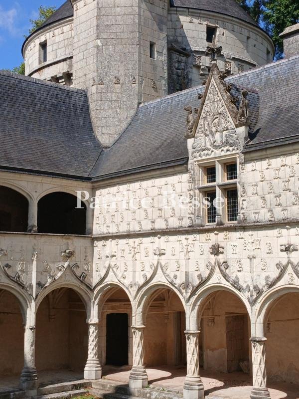 Castle in Buzancais, Centre-Val de Loire, France 5 - 15591676