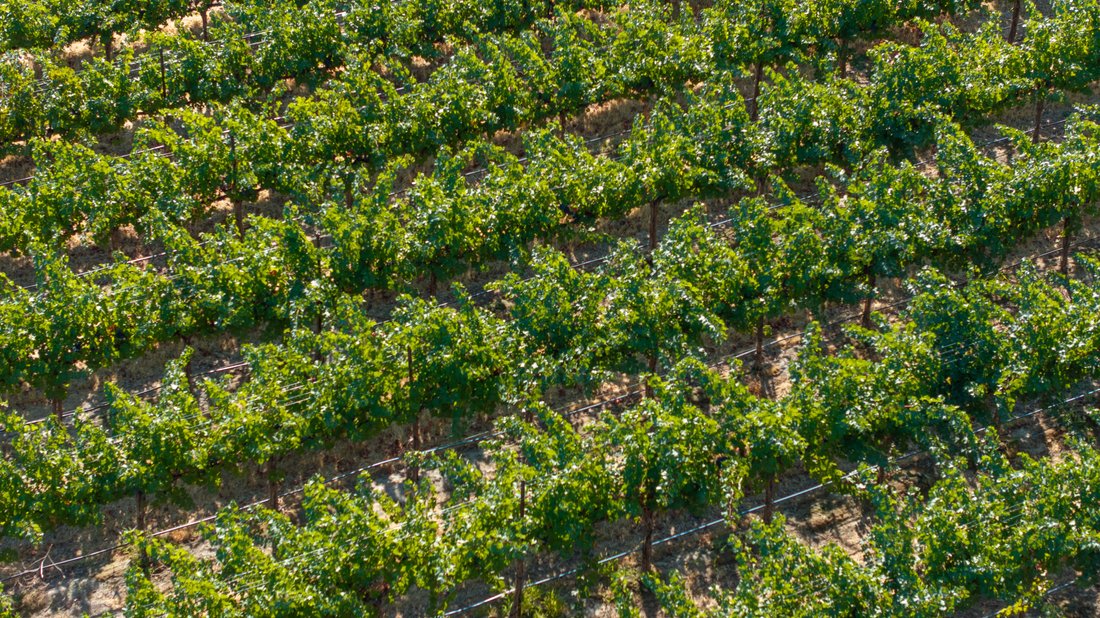 Land in Richland, Washington, United States 5 - 16358195