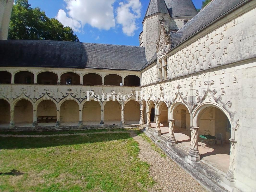 Castle in Buzancais, Centre-Val de Loire, France 1 - 15591676