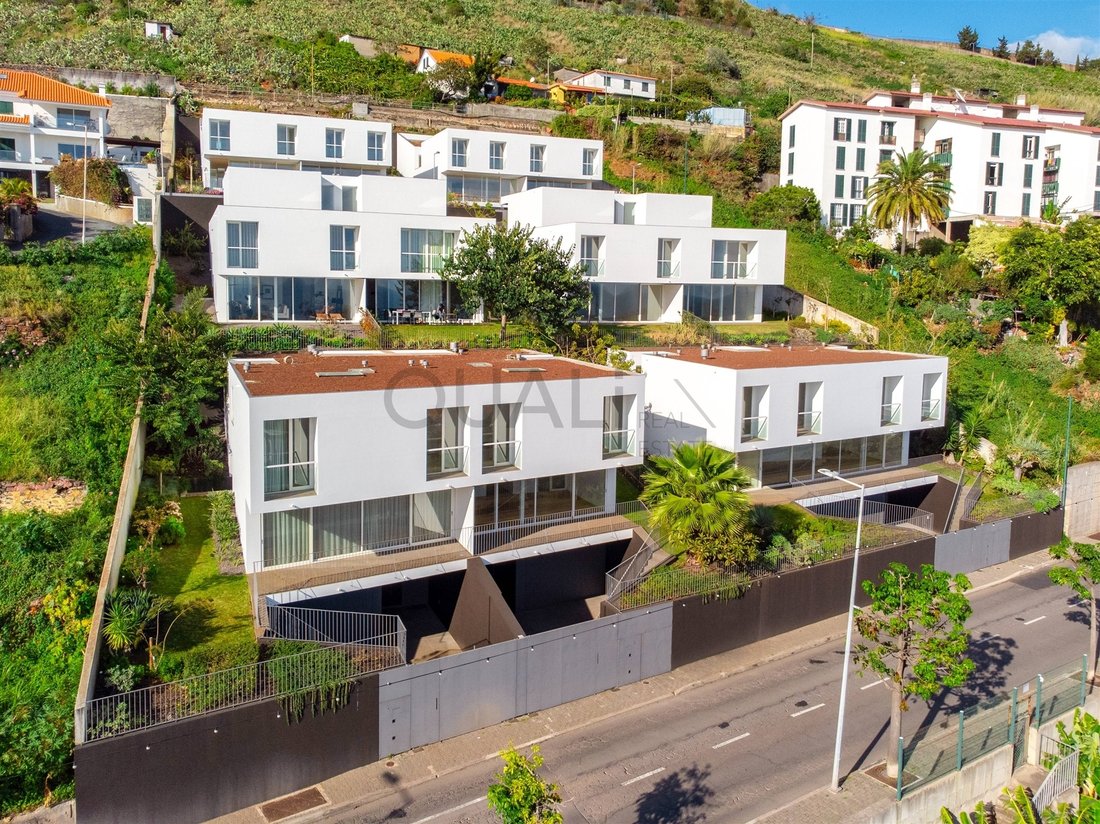 House in Sao Martinho, Madeira, Portugal 1 - 16362306