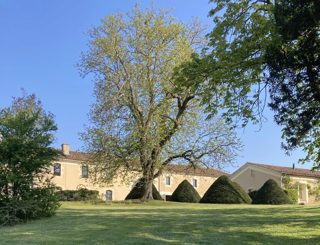 Maison à Faubourg Nord, Auch, France 1 - 16362365