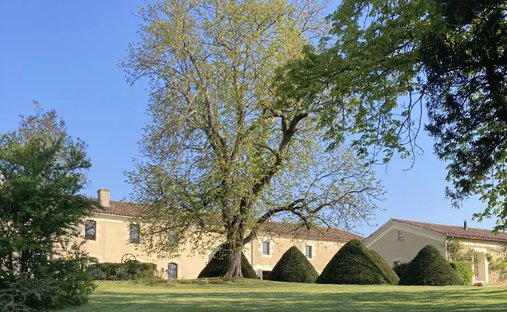 The Aristocratic Chateau Of Beechwood