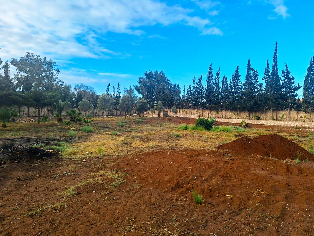 Land in Essaouira, Marrakesh-Safi, Morocco 1 - 16358450