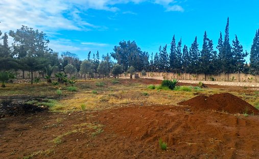 Land in Essaouira, Marrakesh-Safi, Morocco 1